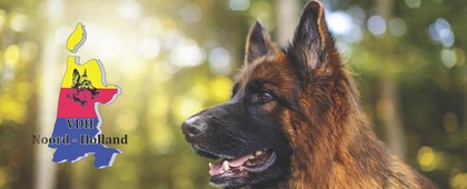  Welkom op de website van VDH Afdeling Noord-Holland